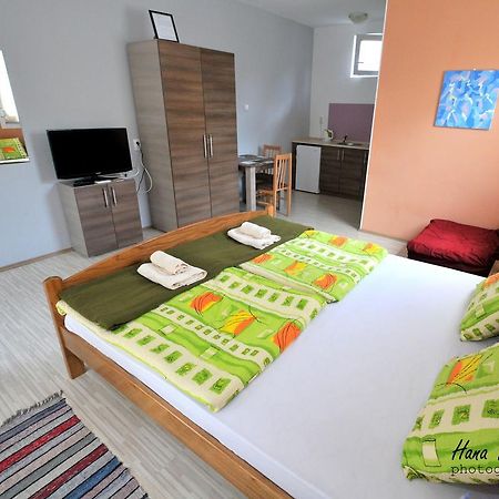Apartments Svetlica Backi Petrovac Exterior photo